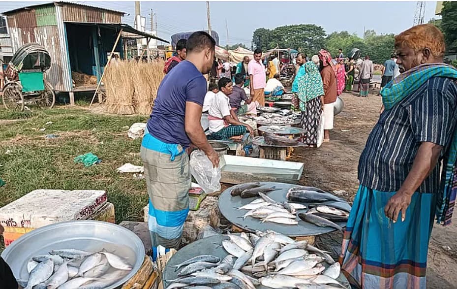 মা ইলিশ পাহারায় যে ‘বাহিনী’ দরকার